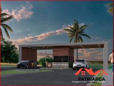 Terreno, 250 m² - Foto 3